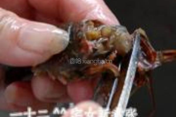 浓香原味小龙虾的做法图解6