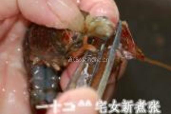 浓香原味小龙虾的做法图解7
