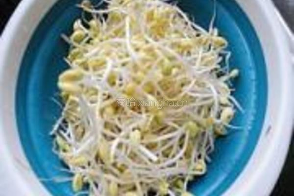 豆芽炖粉丝的做法图解4