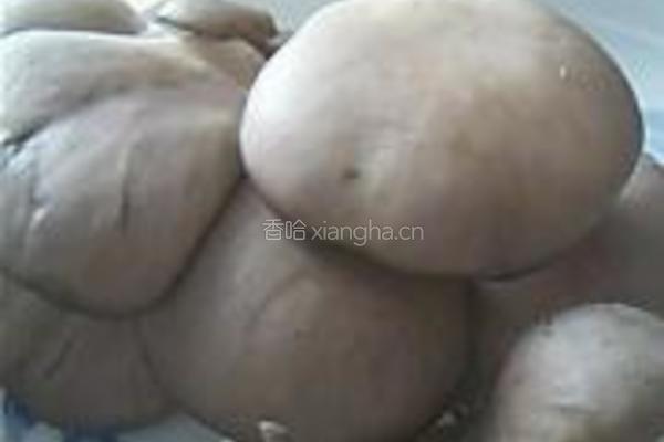芸豆平菇鸡块的做法图解3