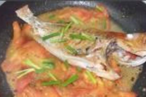 大眼鸡煮番茄的做法图解9