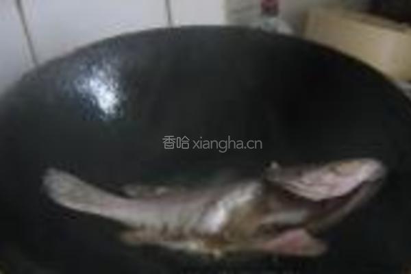 煎石斑鱼的做法图解2