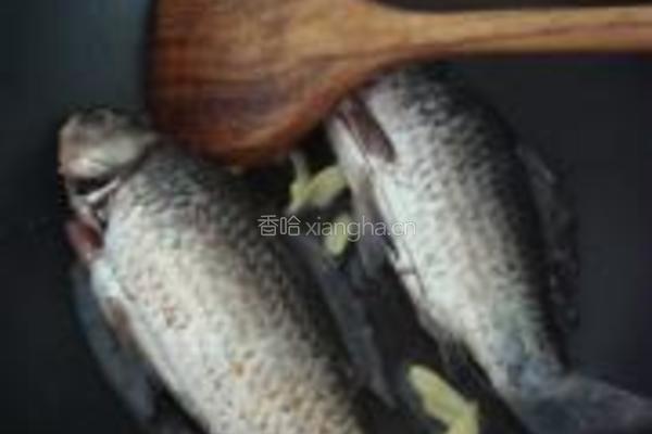 鲫鱼花蛤枸杞叶汤的做法图解5
