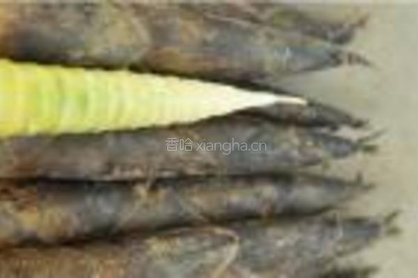 春笋焖鸡块的做法图解1