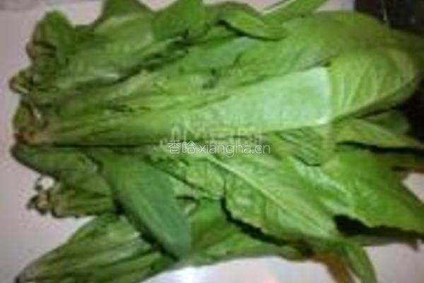 豉汁油麦菜的做法图解1