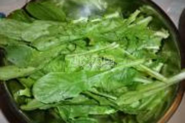 豉汁油麦菜的做法图解2