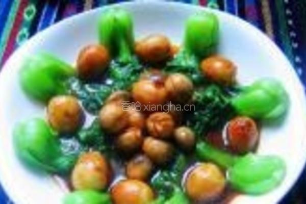红扒鹌鹑蛋的做法图解9