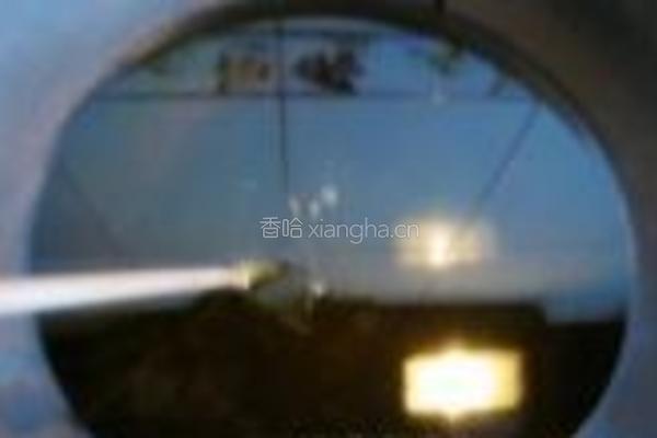 原味酥虾的做法图解3
