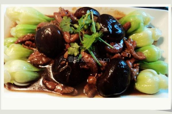 蚝油冬菇扒菜胆