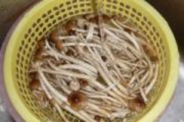 干炒茶树菇的做法图解2