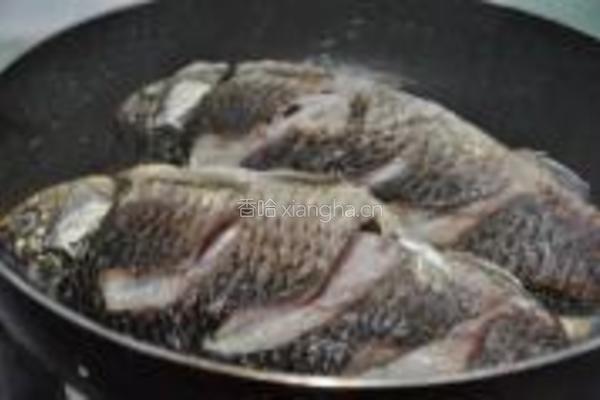 橄榄鲫鱼汤的做法图解7