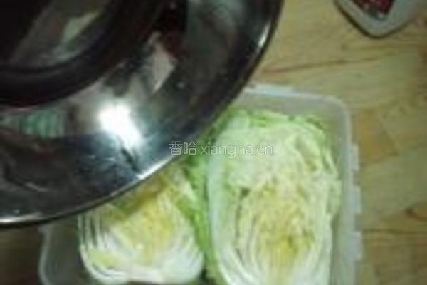 朝鲜辣白菜的做法图解4