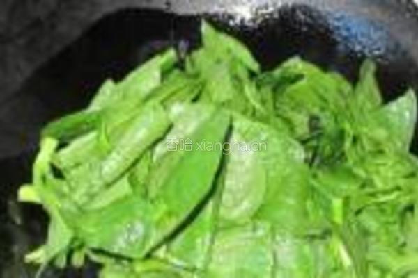 蒜香木耳菜的做法图解5