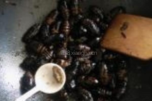 爆炒茧蛹的做法图解7