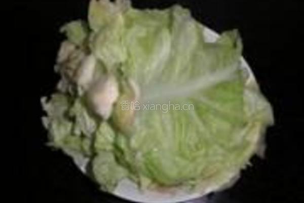 双皮包菜卷的做法图解8