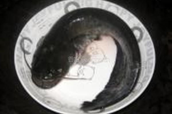 豆豉蒸鲶鱼的做法图解1