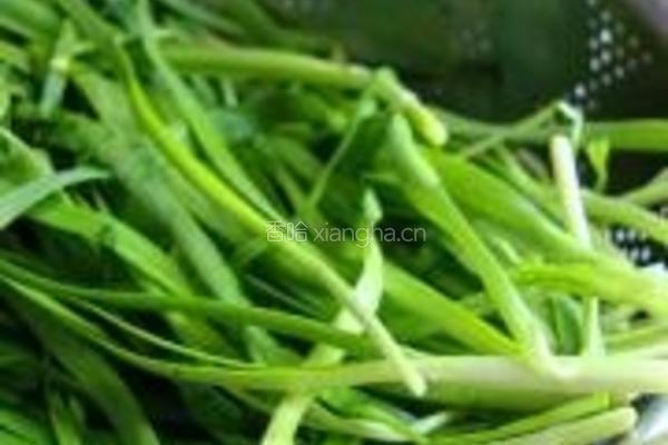 韭菜头炒冬笋的做法图解3