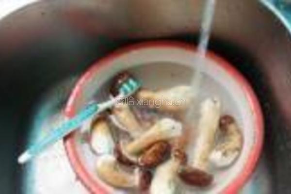 素炒白牛肝菌的做法图解1