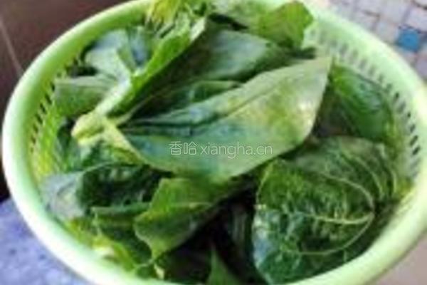 蒜蓉爆白菜的做法图解2