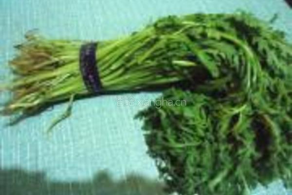蒜蓉茼蒿的做法图解1