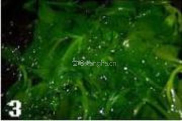 炝拌穿心莲的做法图解3