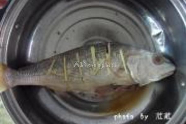 红烧肉丝鲈鱼的做法图解4