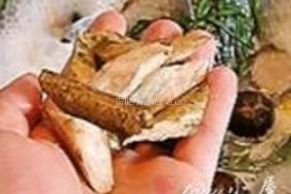 鲫鱼汤的做法图解14