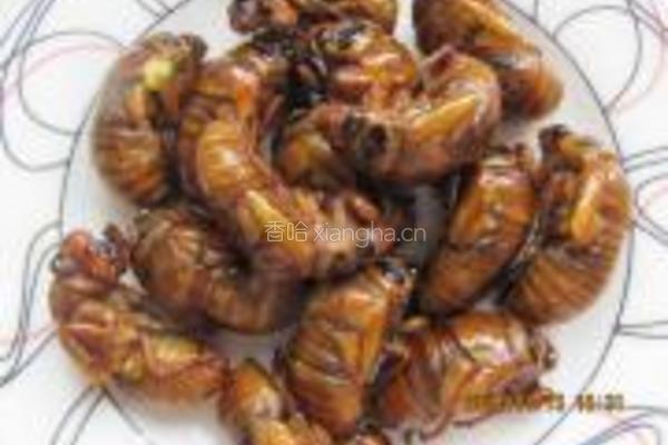 香酥金蝉的做法图解5