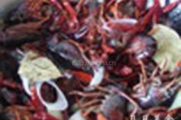麻辣小龙虾的做法图解4