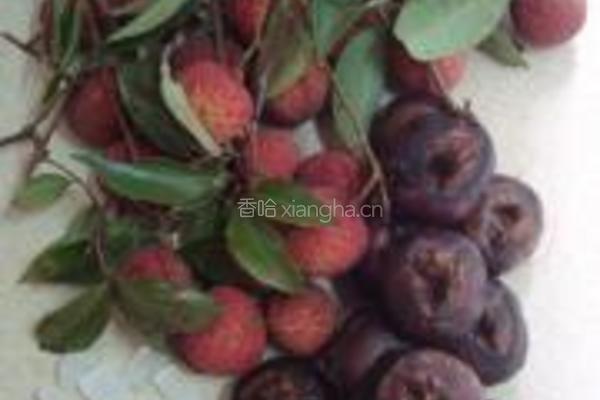 荔枝马蹄火龙果水的做法图解1