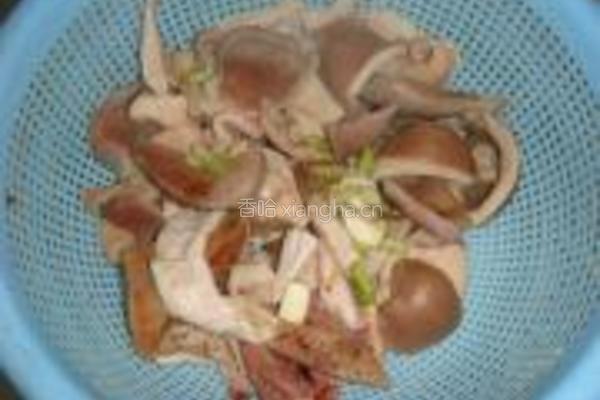 鸭杂绿豆芽的做法图解4