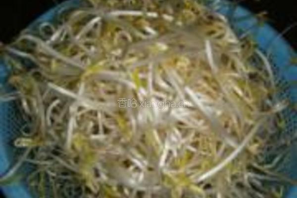 鸭杂绿豆芽的做法图解5