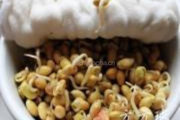 黄豆芽炒粉的做法图解4