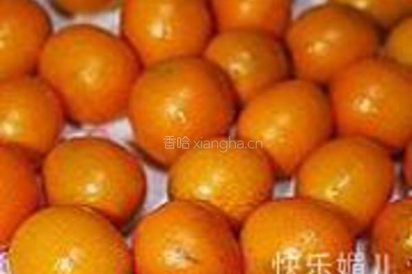 糖渍金橘的做法图解1