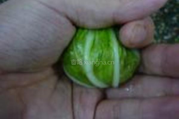 虾肉白菜包的做法图解4