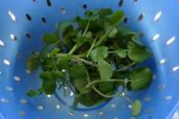 西洋菜蜜枣鸡汤的做法图解3