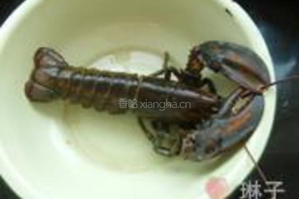 蒜蓉开背蒸龙虾的做法图解1