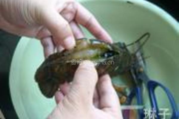 蒜蓉开背蒸龙虾的做法图解3