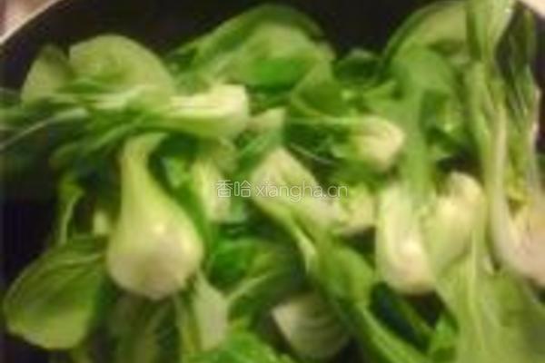平菇油菜的做法图解4