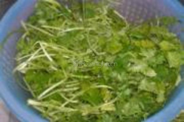 鲫鱼烧香菜的做法图解3