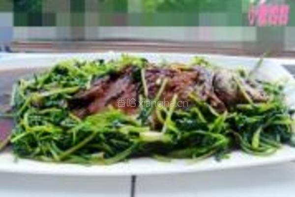 鲫鱼烧香菜的做法图解9