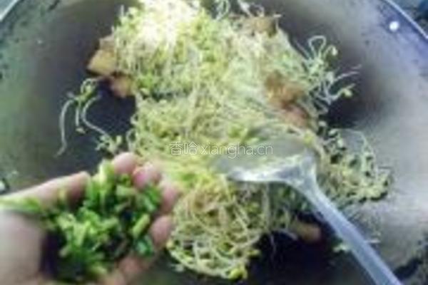 豆芽回锅肉的做法图解7