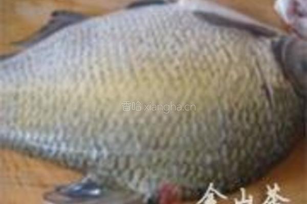 清蒸武昌鱼的做法图解1