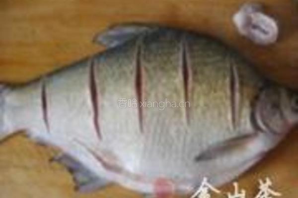 清蒸武昌鱼的做法图解2