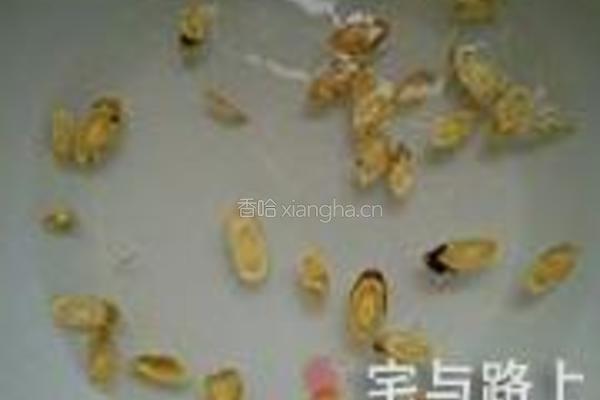 红枣桂圆黄芪茶的做法图解3