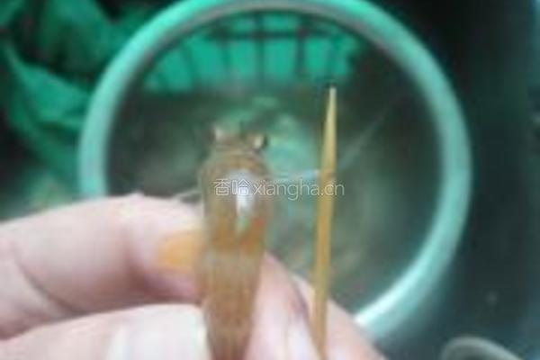 红烧大虾的做法图解1