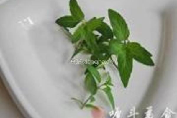 石香菜拌金针菇的做法图解3