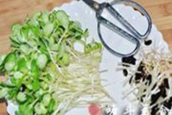 清炒黑豆苗的做法图解1