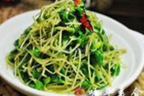 清炒黑豆苗的做法图解4