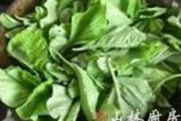 苋菜皮蛋汤的做法图解4